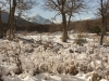 Cerro Alarken nature reserve