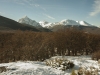 Cerro Alarken nature reserve2