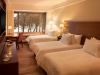 Double Superior Twin with extra bed - Valley View