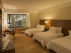 Triple Room - Valley View
