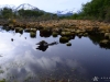 Cerro Alarkén nature reserve - Peat field