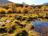 Cerro Alarkén nature reserve - Peat field