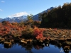 turbal otoño