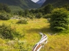 Cerro Alarken Nature Reserve